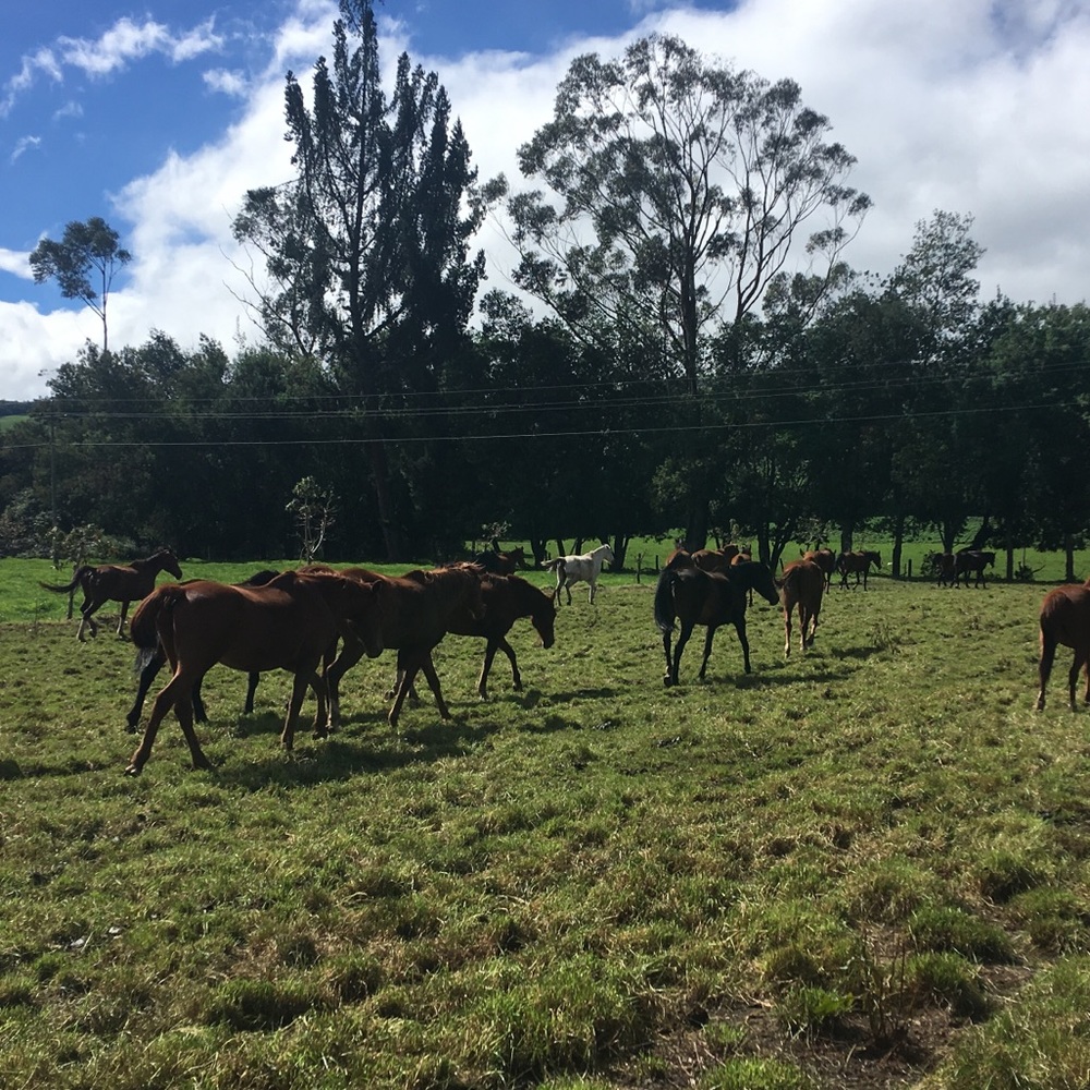 Meet your Posher, Maria